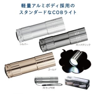 cpat-E01-31309