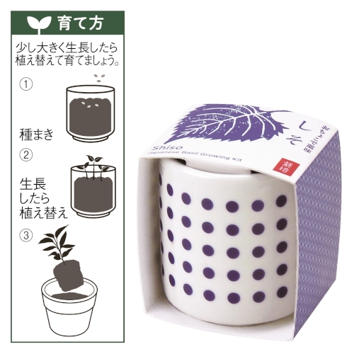 おちょこで薬味栽培キット しそ E22 Hahaha ははは 箱買い専門の販促 粗品マーケット