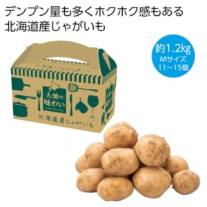 cpat-E12-2565550