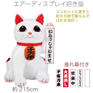cpat-E12-2935555