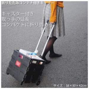 cpat-E12-2219083