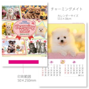cpat-E12-2912175