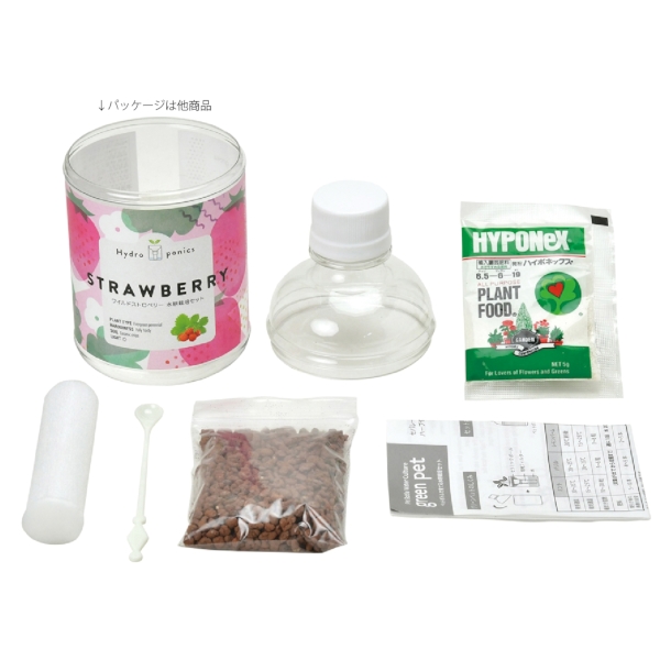 グリーンペット1個(ミント)の商品画像2枚目