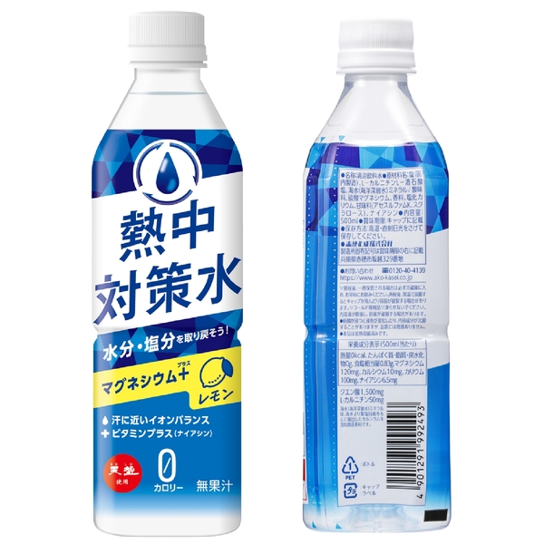 天塩使用　熱中対策水　レモン500mlの商品画像2枚目